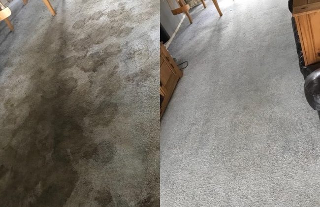 Professional Carpet Cleaning Services in London | Proper Cleaners ✔️ Professional Carpet Cleaning Services in London | Proper Cleaners – Deep Clean, Stain Removal & Odour Elimination